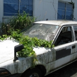 1creepercar.jpg