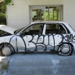 1grafcarzoom.jpg