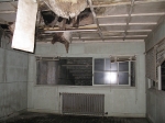 1room.jpg
