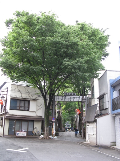 1tree