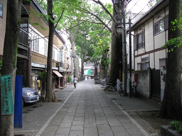 1treeright