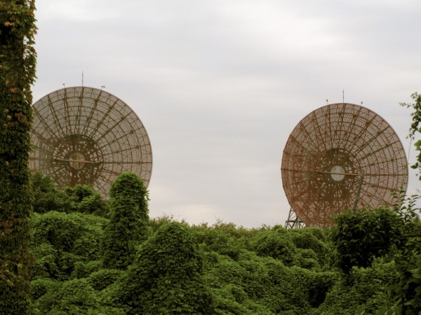 1-base-dishes