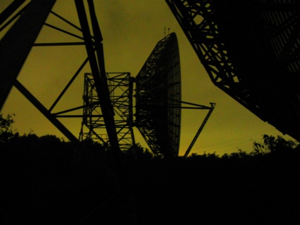 1-base-in-dish