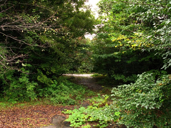 1-base-road1