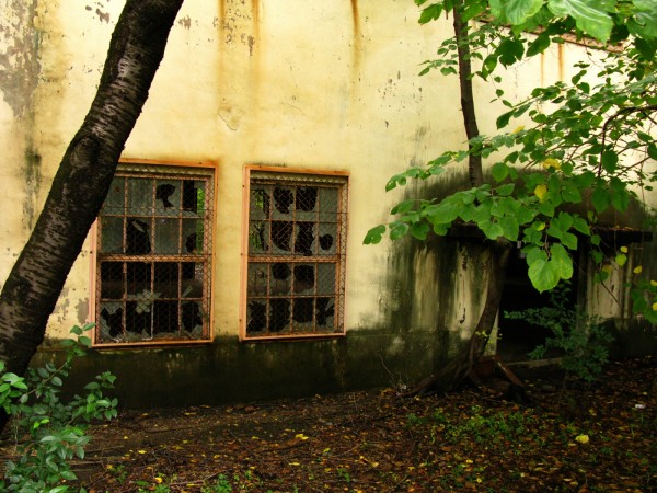 1-base-window-entrance